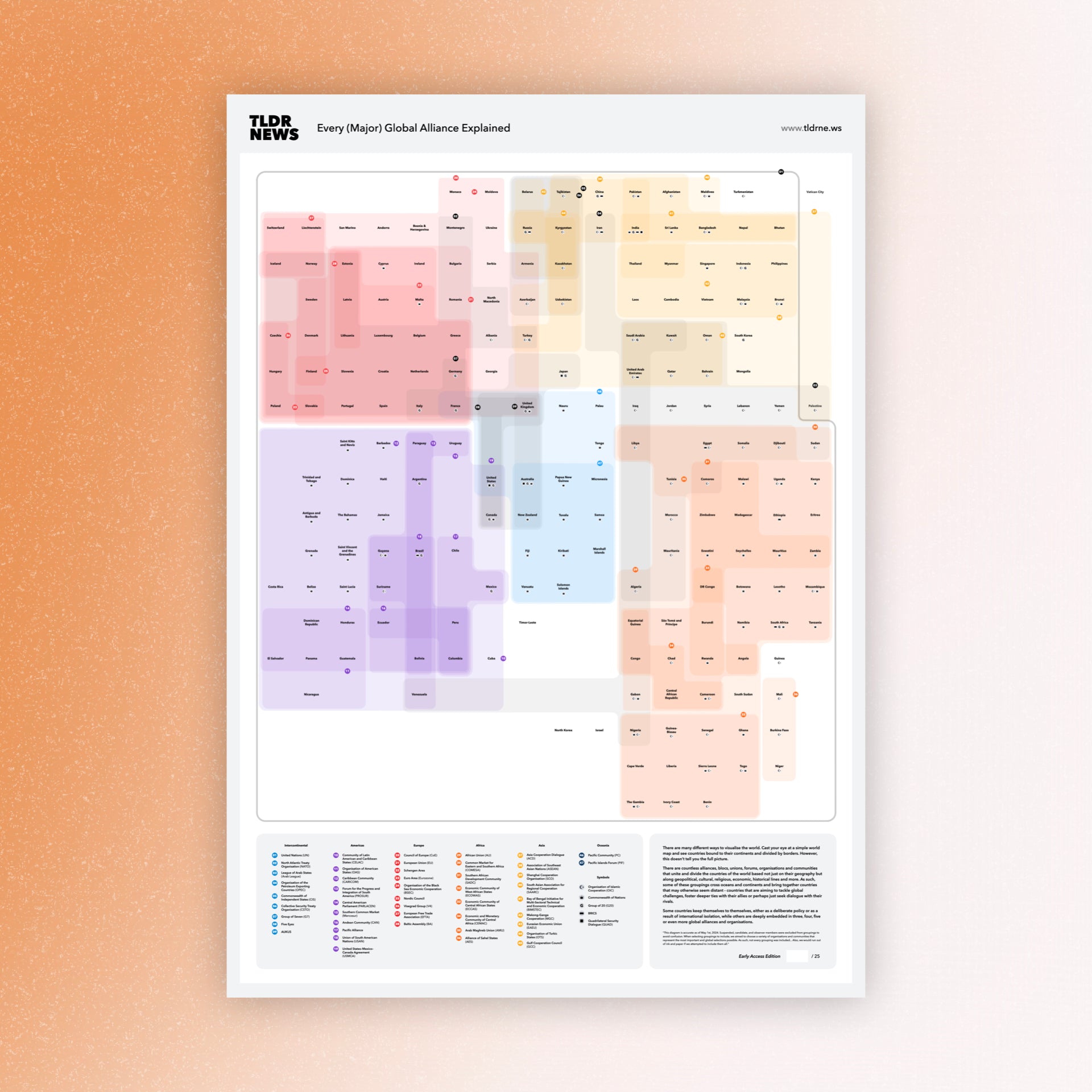 The Shoresh Ted Saga: Every Twist And Turn Explained - eojwtfb